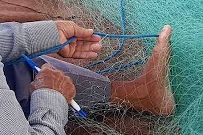 قیمت توری